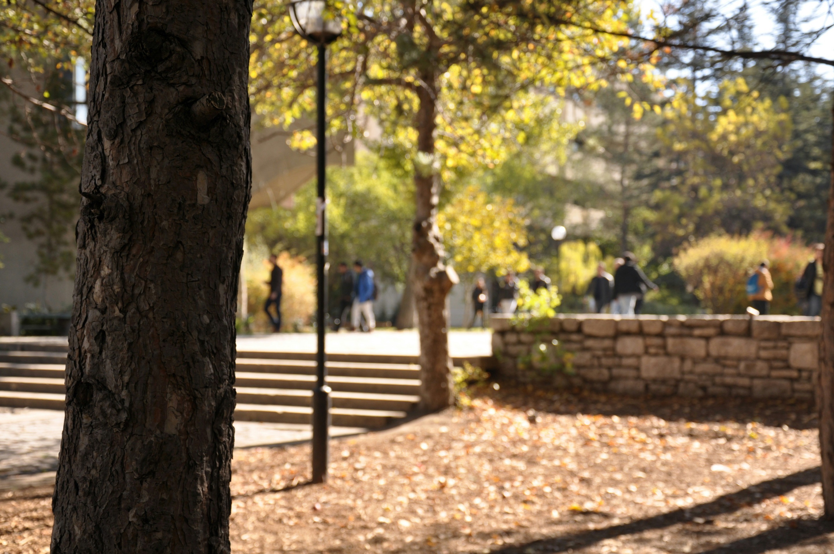 College Campus